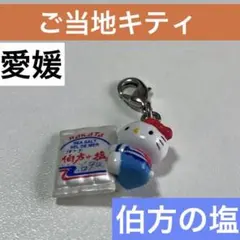 2025年最新】ご当地キティの人気アイテム - メルカリ
