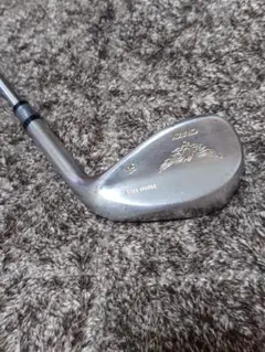 CRAZY PROTO TYPE