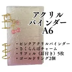 A6 アクリルバインダー 透明 ピンク 貯金 家計管理 リフィル付き チャーム付