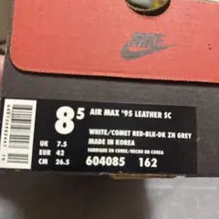 Nike Air Max '95 Leather SC 8.5