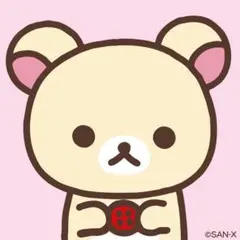 naomin様 専用 Brighte ELEKILIFT MASK 10枚セット