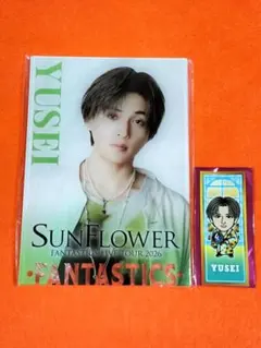 2026年最新】FANTASTICS パネル 八木勇征の人気アイテム - メルカリ