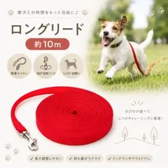犬用 ロングリード 10m トレーニングリード 赤のサムネイル