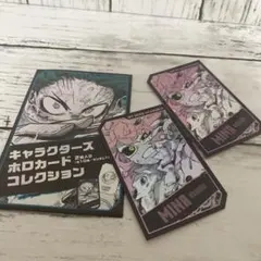 ヒロアカ ホロカードコレクション 芦戸三奈