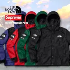 美品！Supreme ノースフェイス レザー マウンテンパーカー S