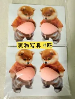 おなかぷにぷにシール　柴犬 ステッカー 4匹セット