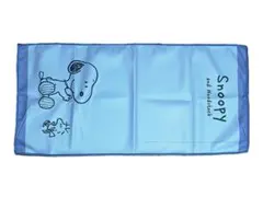 ★フェイスタオル PEANUTS Snoopy and Woodstockのサムネイル