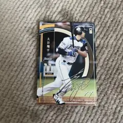 プロ野球 オーナーズリーグ 大谷翔平 2014 北海道日本ハムファイターズ