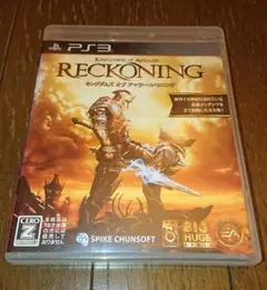 PS3 キングダムズ オブ アマラー レコニング