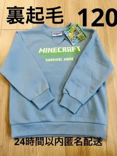 マインクラフトトレーナー120