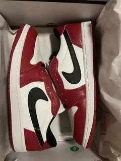 Nike Air Jordan 1 Retro Low OG 