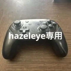 Nintendo Switch コントローラー ブラック