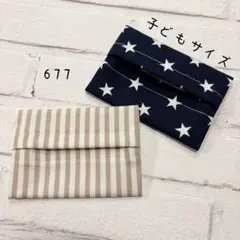 【677】ミニサイズ　ポケットティッシュケース　２個セット