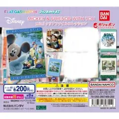 ミッキー&フレンズ ミニクリアファイルコレクション