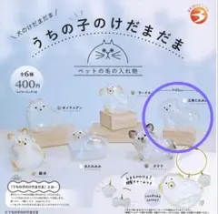 犬のけだまだま　うちの子のけだまだま　三角たれみみ