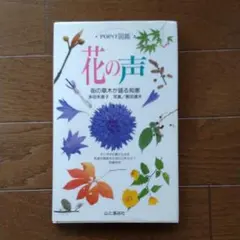 Item thumbnail for item 1705954f-5500-4e36-a9f8-137e414bd92e