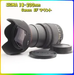 美品】SIGMA 170-500mm F5-6.3 APO ズームレンズ - メルカリ
