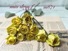 2025年最新】ドライフラワーの人気アイテム - メルカリ