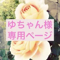ゆちゃん様専用ページ