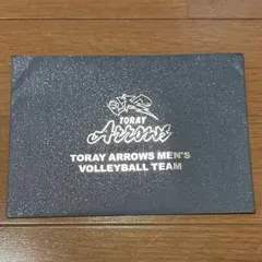 東レアローズ 2022ー2023 サイン色紙 2025年最新】東レアローズ サインの人気アイテム - メルカリ