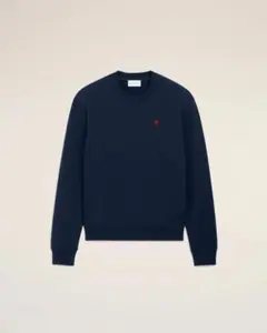 2025年最新】アミパリス ニット ネイビーの人気アイテム - メルカリ