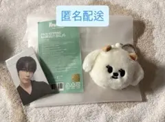 2025年最新】ボムギュ ぬいぐるみの人気アイテム - メルカリ