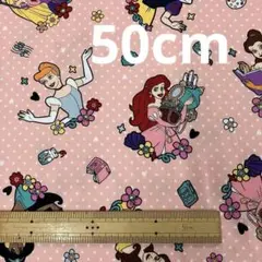 ディズニー プリンセス 生地