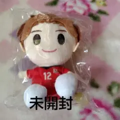 2025年最新】髙橋藍 ぬいぐるみの人気アイテム - メルカリ