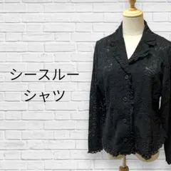 シースルーシャツ　透け　長袖　黒　ブラック