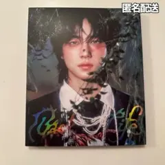 &TEAM Back to Life CD エンティーム TAKI