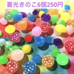 蓄光きのこ6個セット