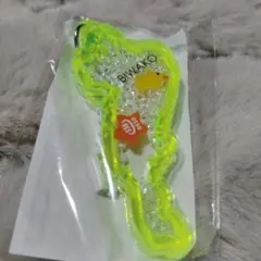 琵琶湖 びわこキーホルダー アクリルキーホルダー 가챠 雄琴