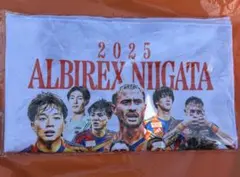 アルビレックス新潟　11/30ホーム最終節ガラポン白賞タオル