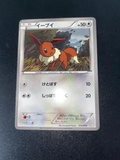 PSA10 リーフィア ゼクロムEX バトル強化デッキ ブイズ BKZ イーブイ バトル強化デッキ60 ゼクロムEX BKZ 010/018 - メルカリ