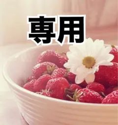 専用 です