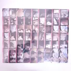 チェンソーマン メタリックカード デンジ マキマ 早川アキ パワー コベニ 姫野