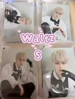 龍宮城 S WALTZ 龍TUBE PHOTO - メルカリ