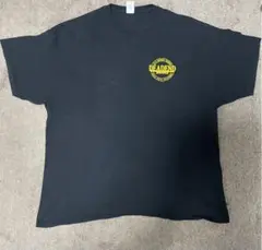 tシャツ ワンポイント バックプリント GILDAN