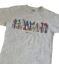 美品 ハワイ USA製 JERZEESジャージーズ HAWAIIプリントTシャツ