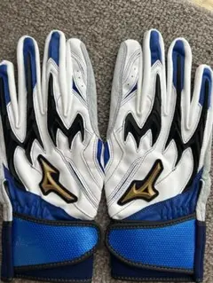 ミズノプロ グローブ、WAX FORTUNEFIELD、バッティンググローブ4点 ミズノプロ グローブ、WAX FORTUNEFIELD、バッティンググローブ4