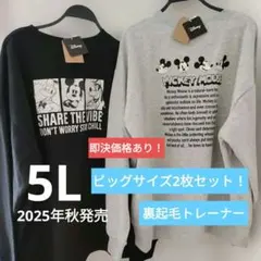 値下げ中⭐新品タグ付き　ディズニートレーナー 2セット　5L