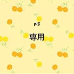 p様　専用おまとめ品