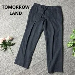 TOMORROW LAND カジュアルパンツ　ネイビー　M ゴムのサムネイル