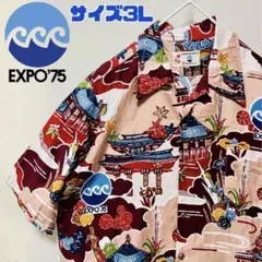 2026年最新】海洋博覧会 かりゆしの人気アイテム - メルカリ