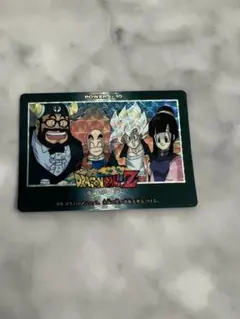 ドラゴンボールZ PPカード