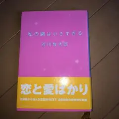 私の胸は小さすぎる