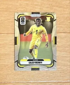 Panini Soccer World Cup カレブ・イレンキ カード RC