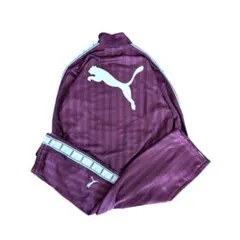 PUMA プーマ ジャージ セットアップ プージャ 上下 y2k えんじ色