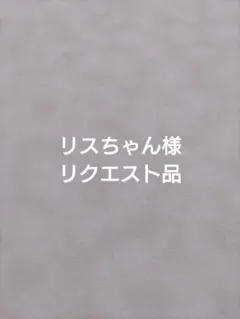 リスちゃん様 リクエスト品