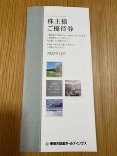 東急不動産ホールディングス 株主優待券　2025年12月発行